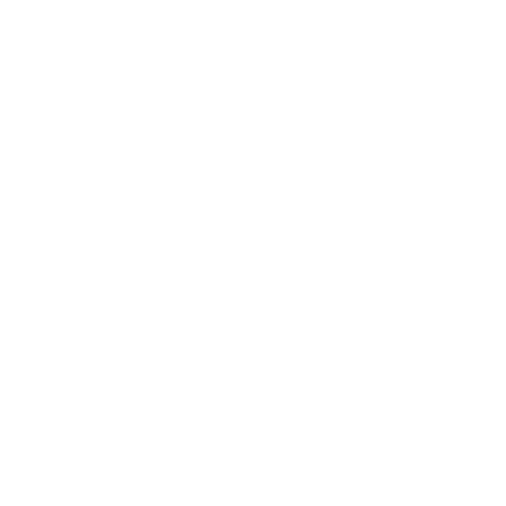 Cross Icon